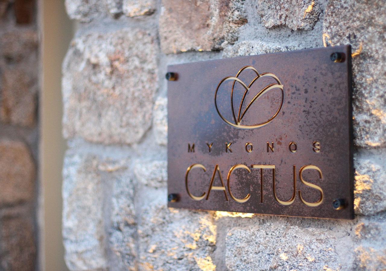 Mykonos Cactus Hotel Ornósz Kültér fotó